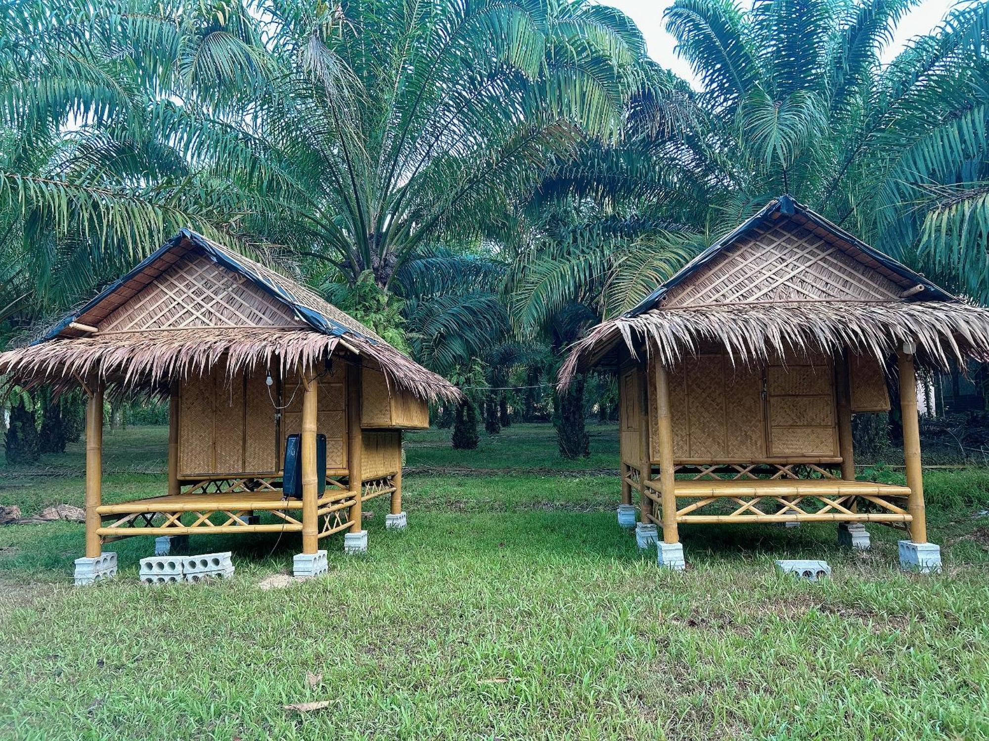 Hotel Khaosok August Freedom Camp Khao Sok National Park Zewnętrze zdjęcie
