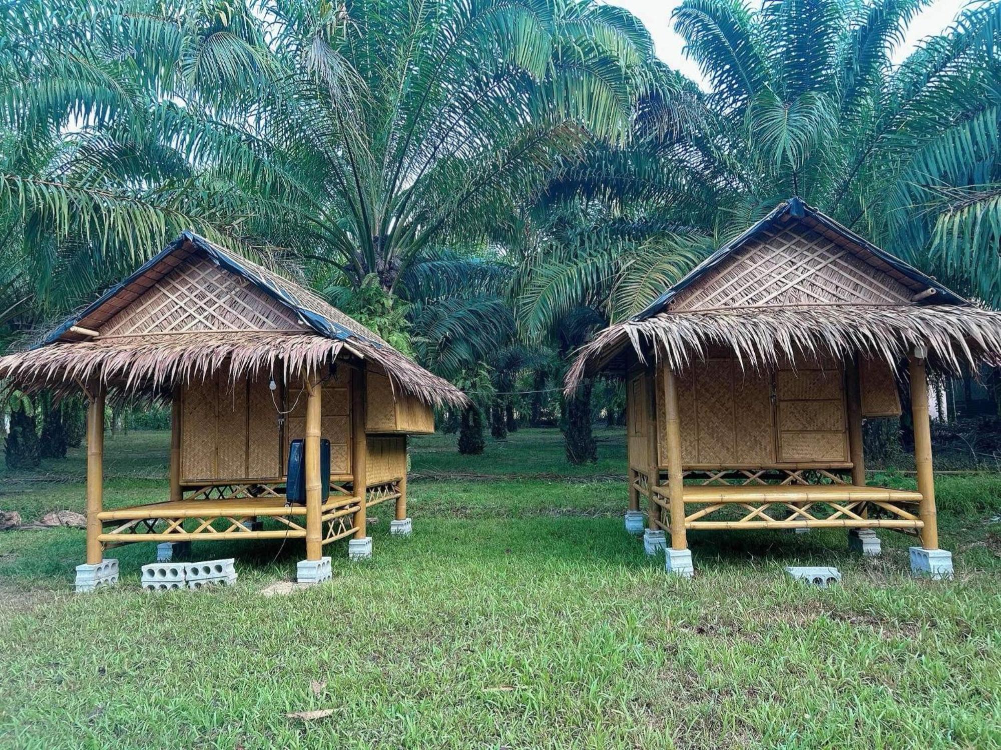 Hotel Khaosok August Freedom Camp Khao Sok National Park Zewnętrze zdjęcie